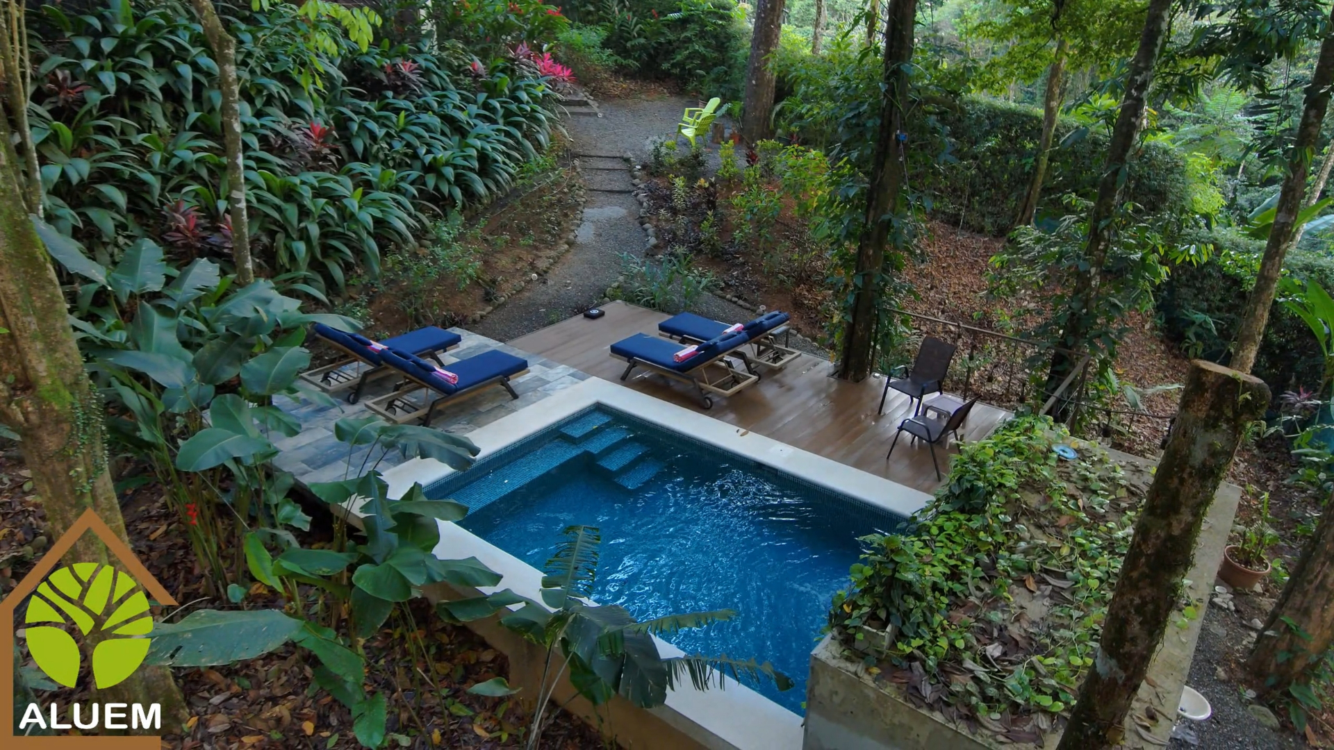 Wide view of the pool, deck and tropical garden